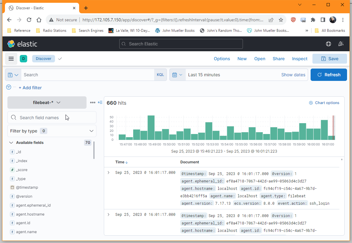 Screenshot of Filebeat data in Kibana